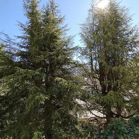 Apartment Le Welcome Argelès-Gazost